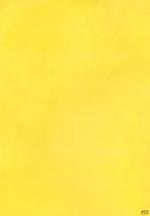 tn_LEMONNIGHT_0001z.jpg
