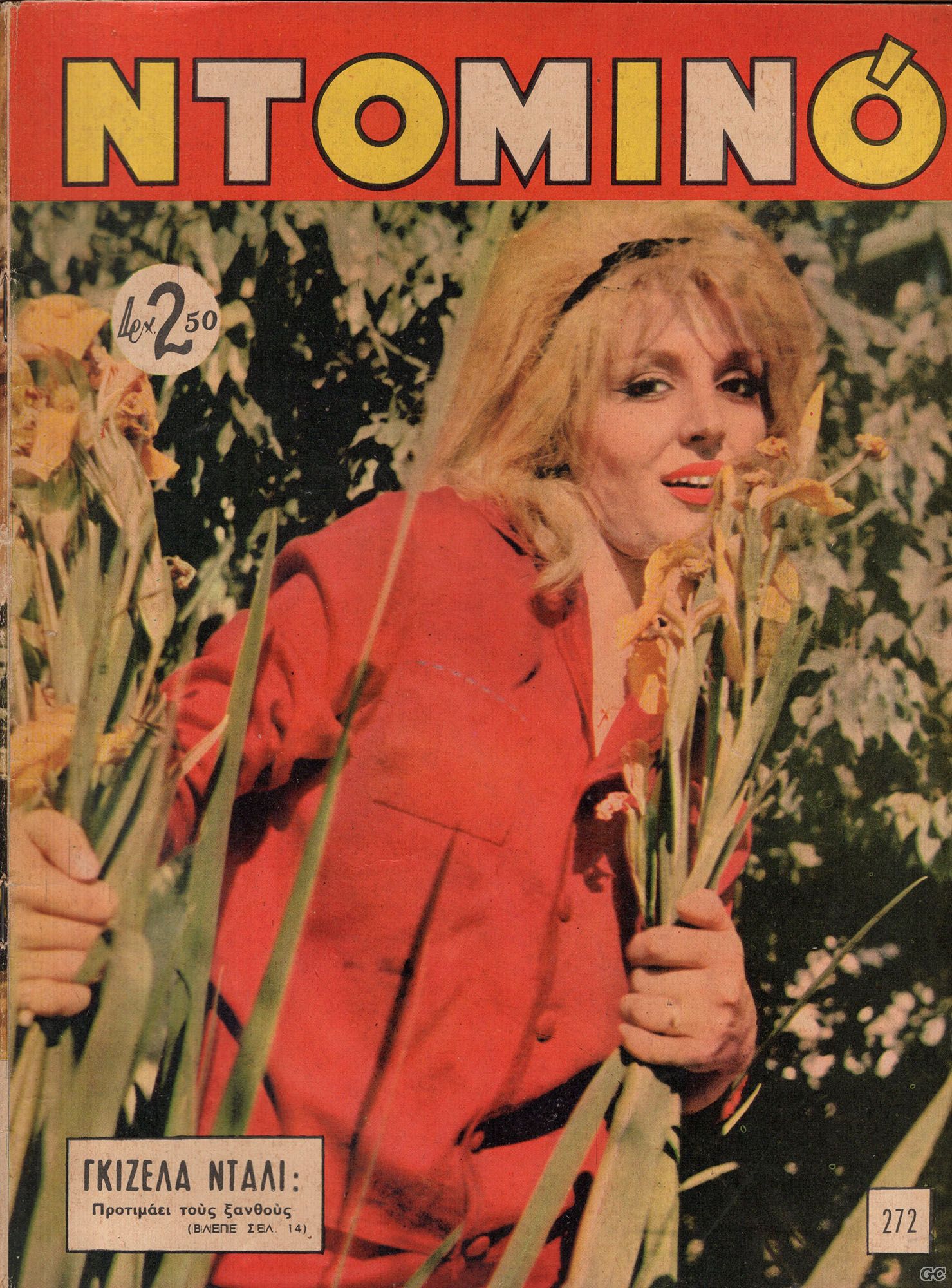 DOMINO_0272.jpg