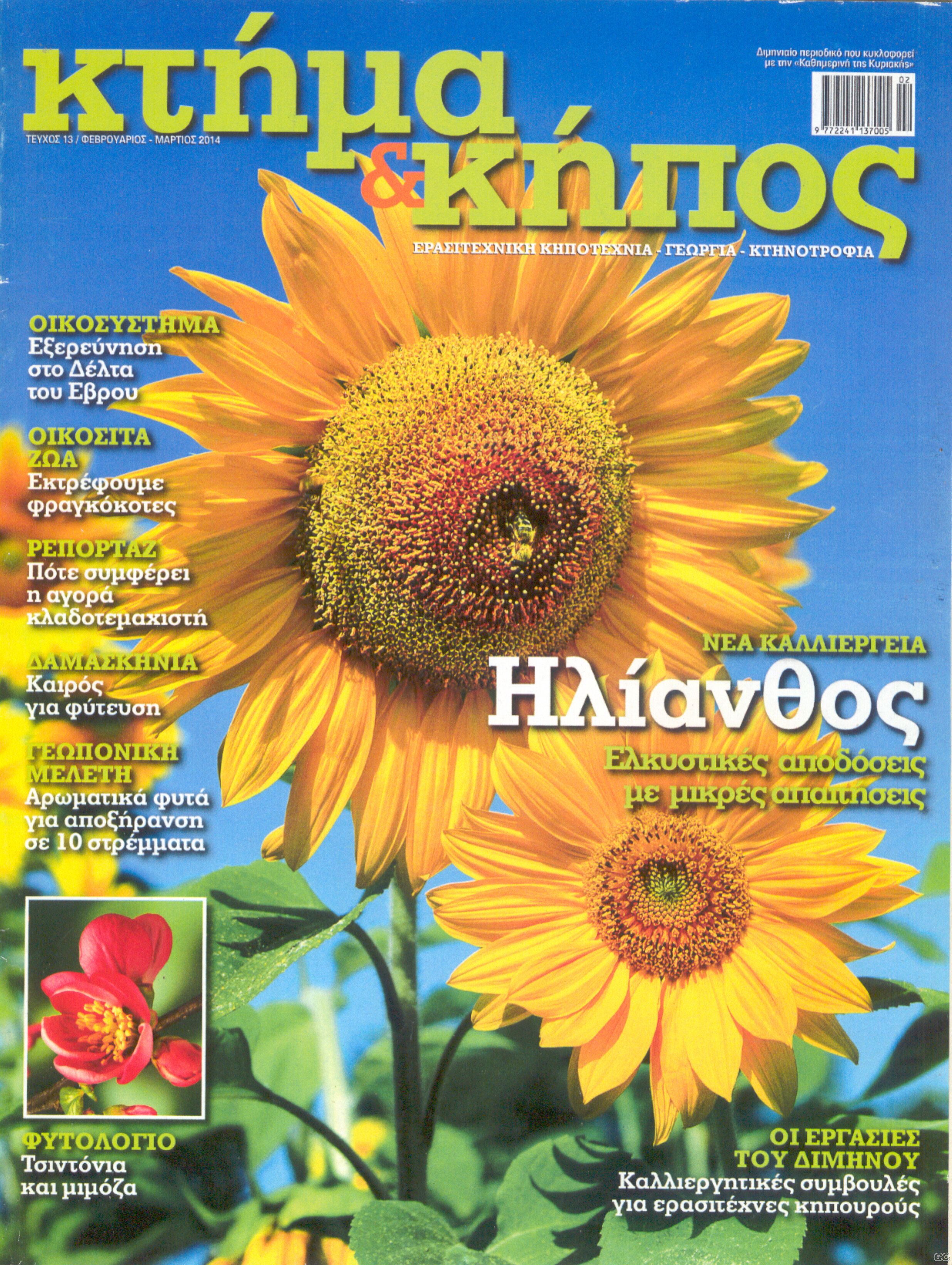 KTHMAKHPOS_0013.jpg