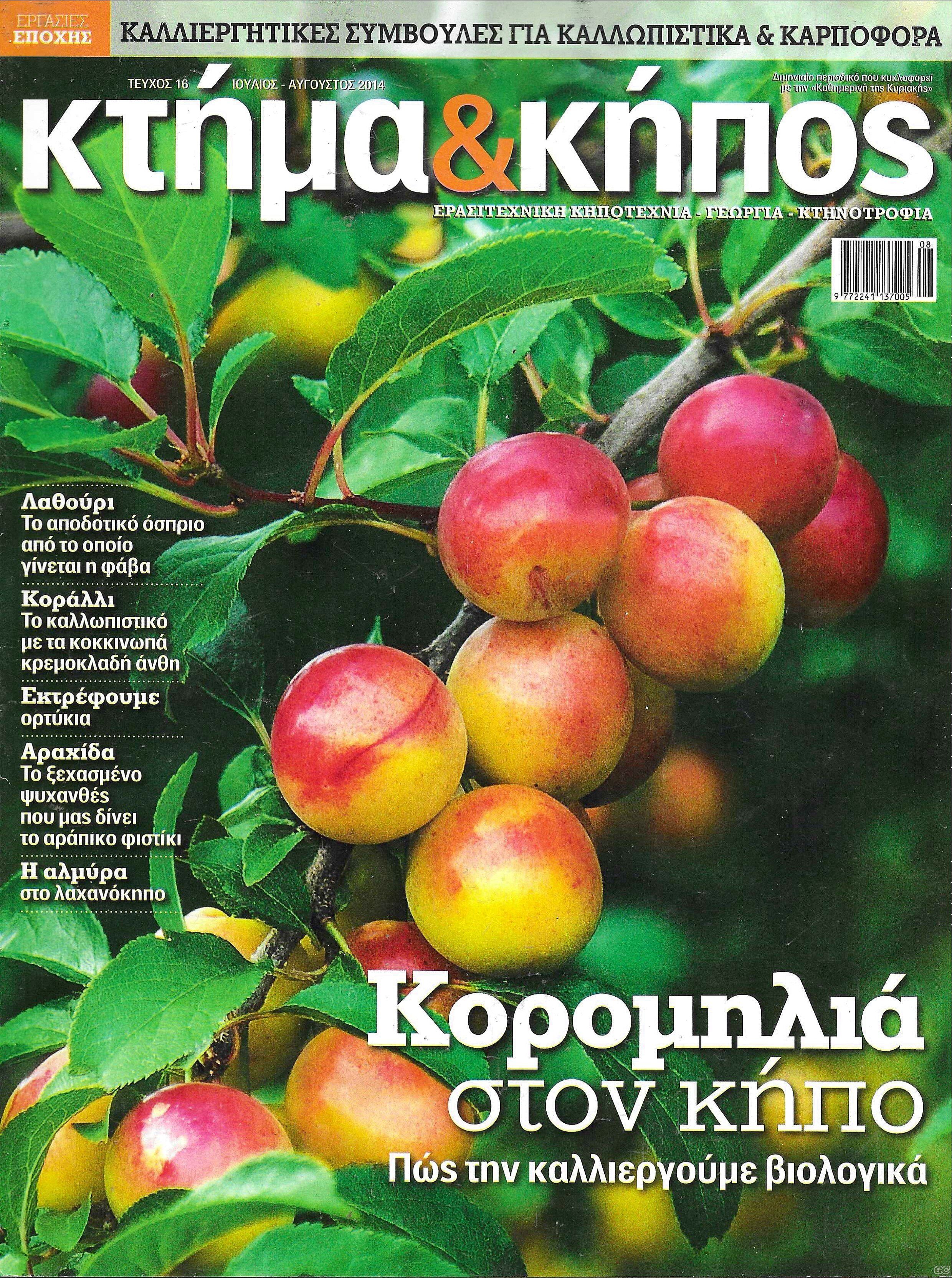 KTHMAKHPOS_0016.jpg