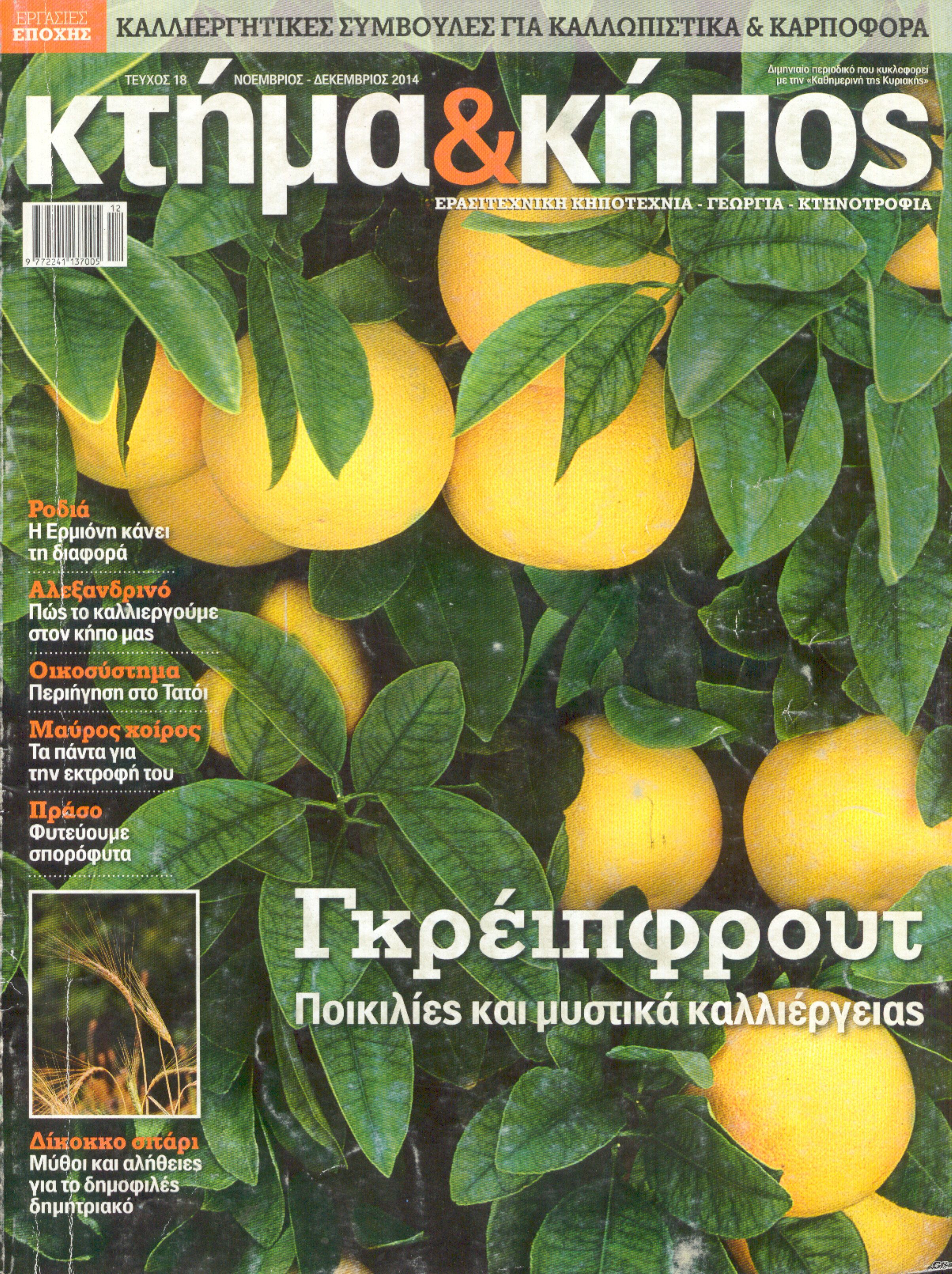 KTHMAKHPOS_0018.jpg
