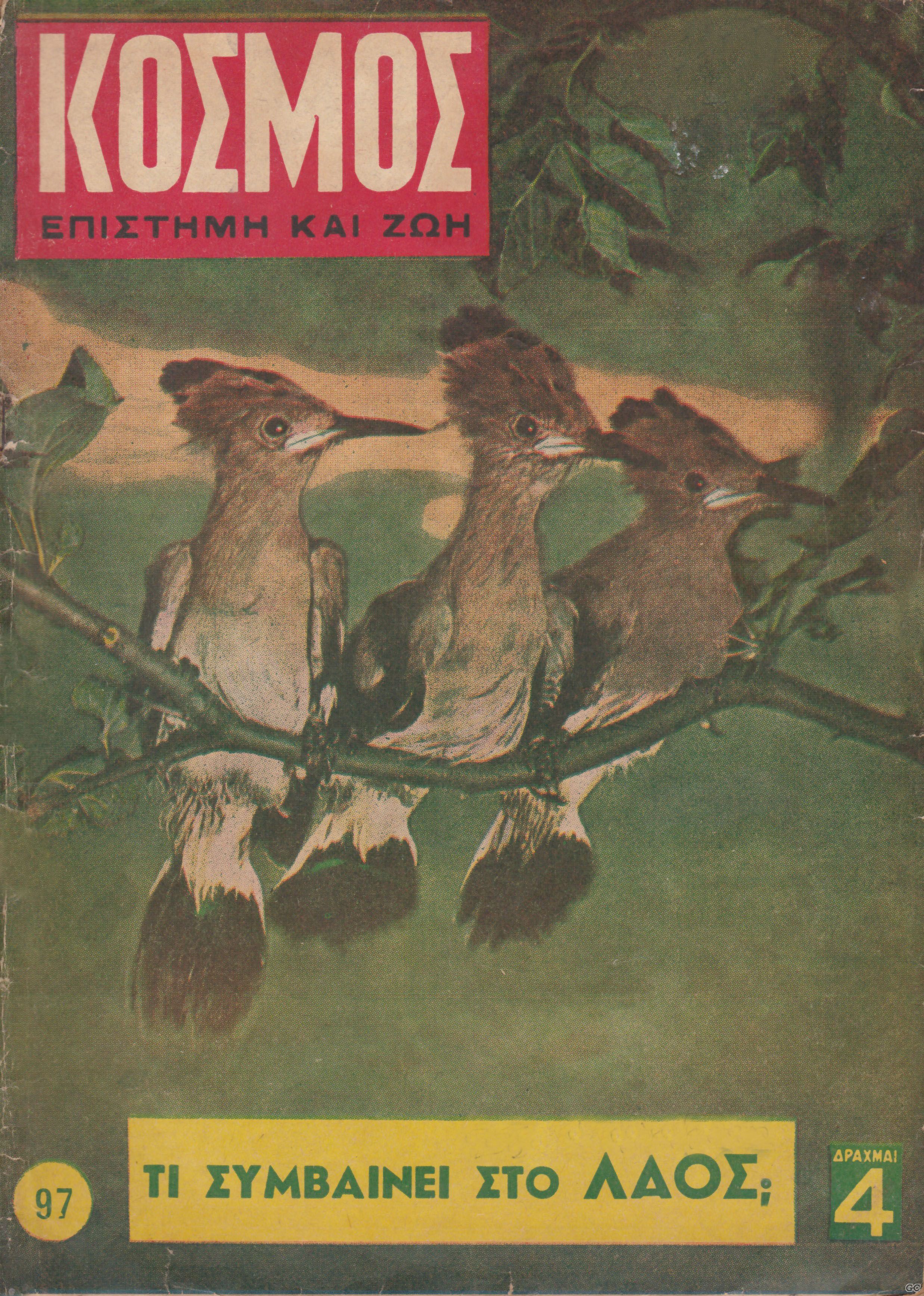 KOSMOSEPISKZOI_0097.jpg