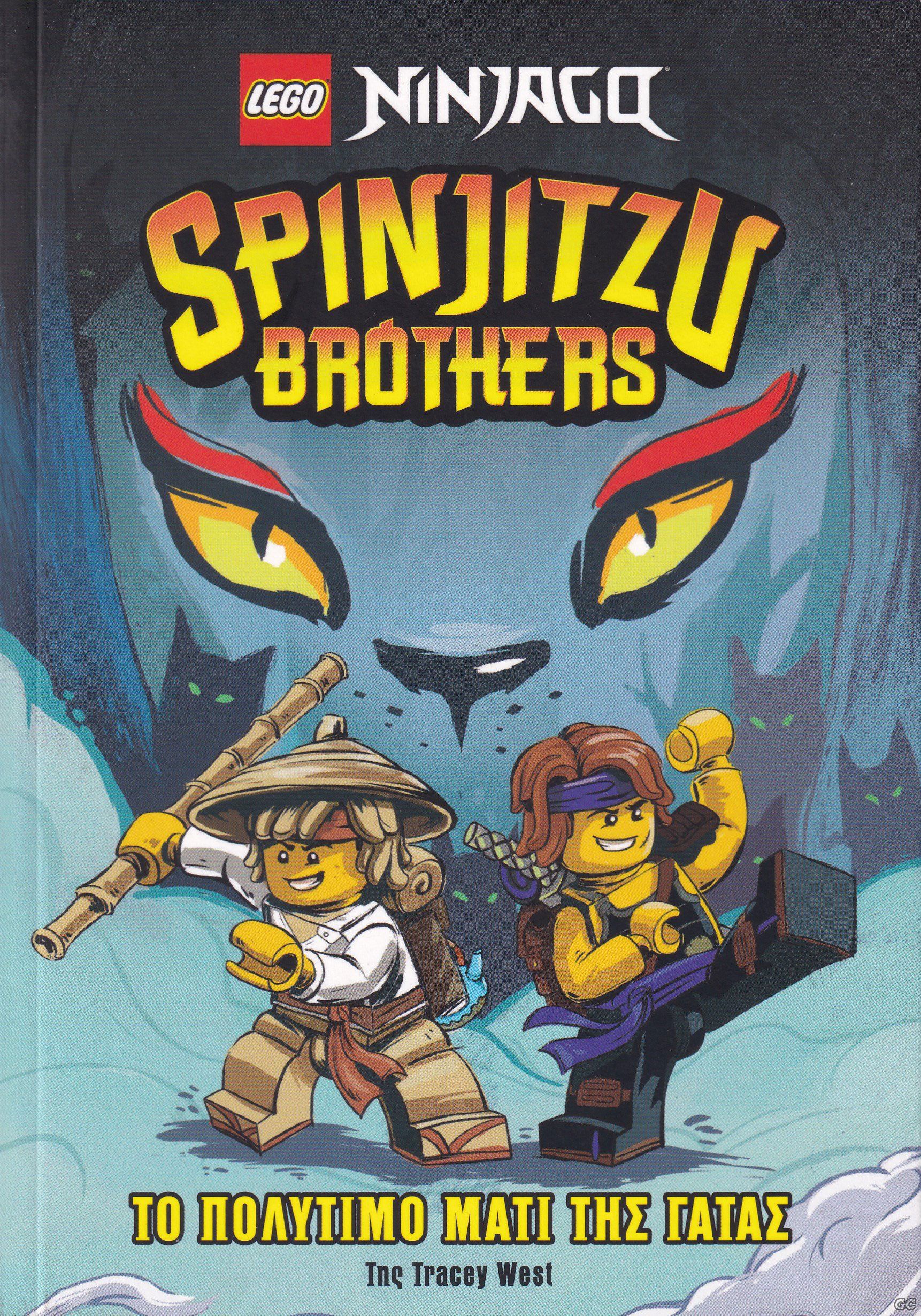 SPINJITSUBROTHERS_0001.jpg