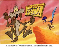 LouisLamogio_wile-e-coyote.jpg