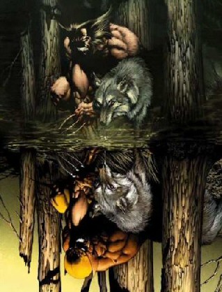 Wolverine_inthewoods.jpg