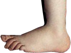 Yoshi_Python_Foot.png