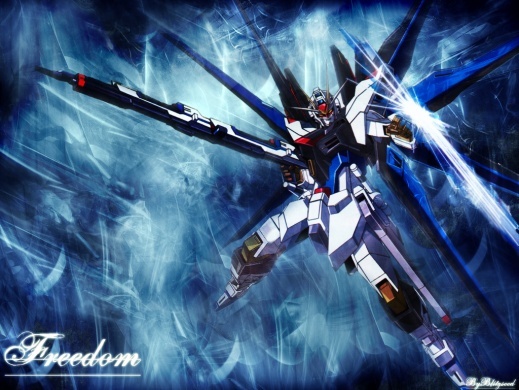 phantomduck_Gundam_user5703_pic2536_1214