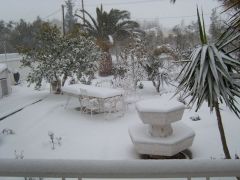 Ο κήπος χιονισμένος.jpg