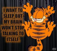 quote garfield