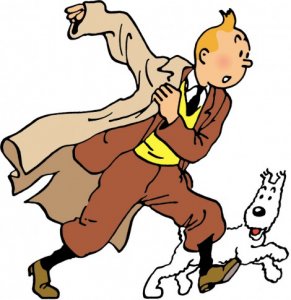 484825_tintin.jpg