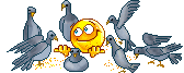 post-1537-1209922901_thumb.png