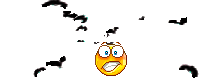 bats_3.gif