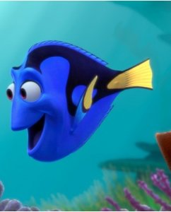 dory.jpg