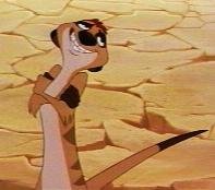 timon.JPG