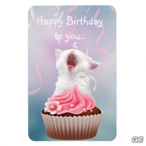 chaton_de_joyeux_anniversaire_magnet_en_rectangle-re684b6ddf5f94c428883dc98d058e948_am0uf_8byvr_512.jpg