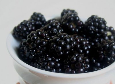 blackberries_488_355.jpg