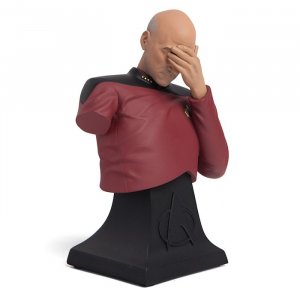 kjmn_st_tng_picard_facepalm_bust.thumb.jpg.598ef10d1710cbf2d7b32486d3403145.jpg