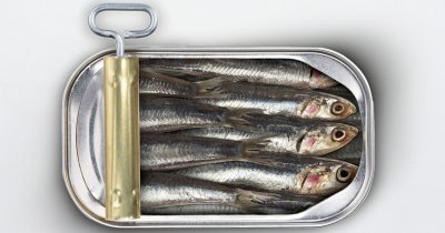 Canned Sardine Brands - Sardine Canned.jpg