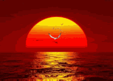 sunset.gif