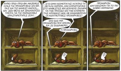 arkas_41.jpg