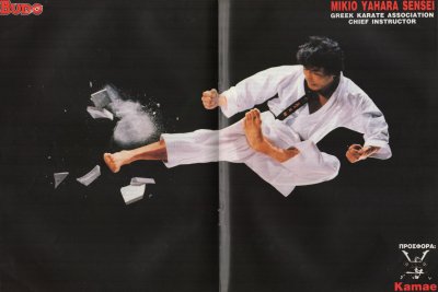 BUDO SPORT poster.jpg