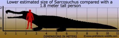 sarcosuchus-size.thumb.jpg.4adfc084a8b3dc0a66882a9557654814.jpg