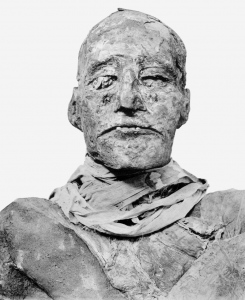 800px-Ramses_III_mummy_head.png