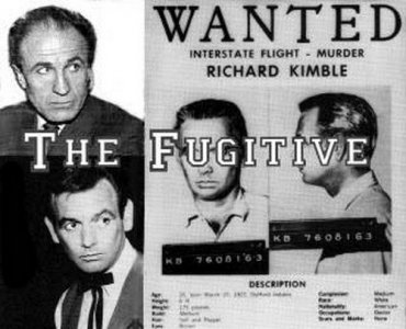 the-fugitive-5.thumb.jpg.6d17dd9913e1c08def9ec6867ee98d62.jpg