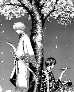 Gintama.thumb.jpg.a73c8b79bd200a52ce2c04a8b75209d9.jpg