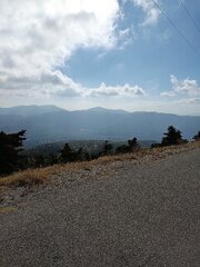 IMG_20241110_111342.jpg