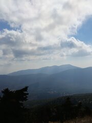 IMG_20241110_111344.jpg