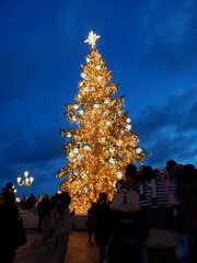 Buon Natale Venezia!