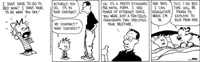 CALVIN AND HOBBES.jpg