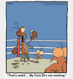 IN THE BLEACHERS.jpg