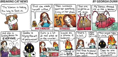 breaking cat news.jpg