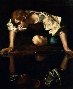 Narcissus.thumb.jpg.4b4bd54260dd912534d79b026a378fee.jpg