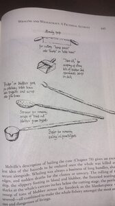 IMG20260828153610.thumb.jpg.ff8e632fe7e540fc9f284fbaacdbbce4.jpg